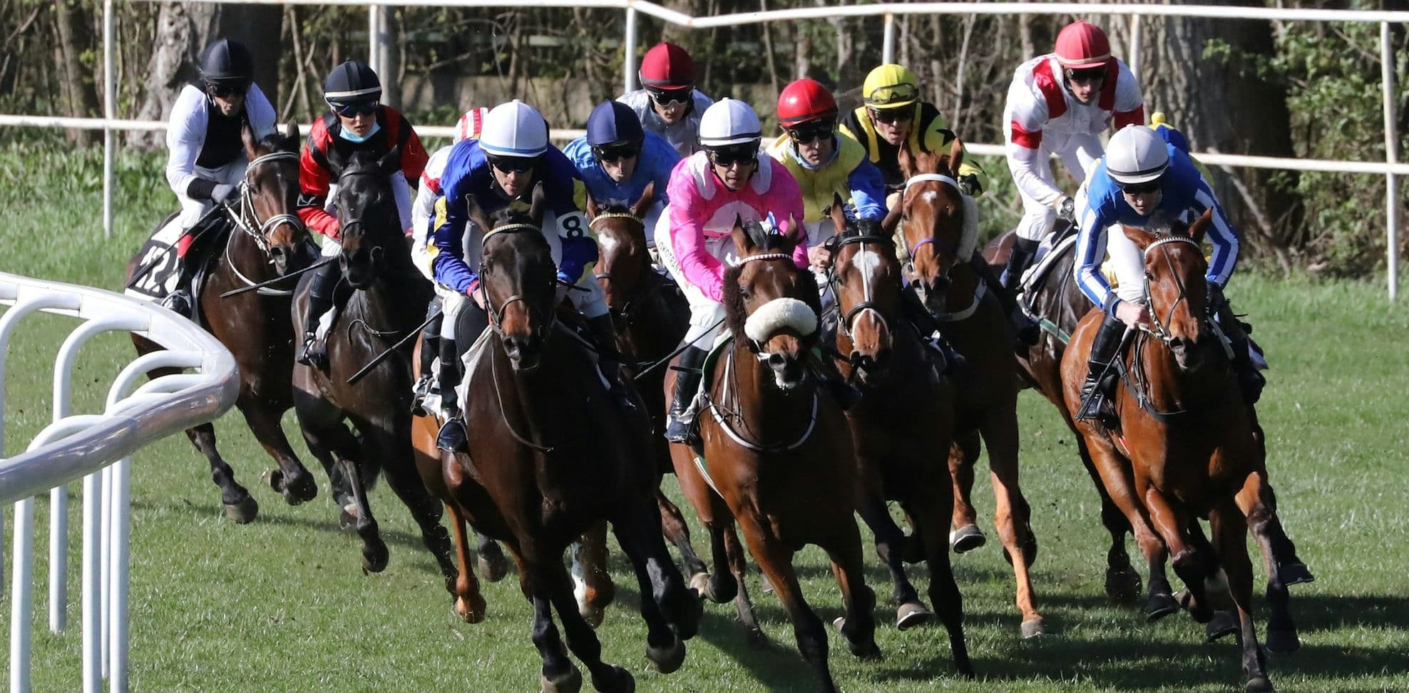 Image of a horse race in the UK
